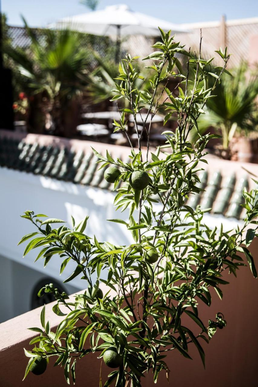 Riad Danka Marrakesh Exteriör bild