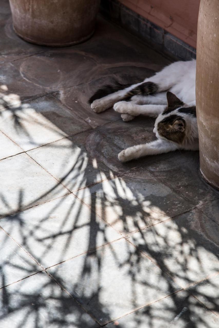 Riad Danka Marrakesh Exteriör bild